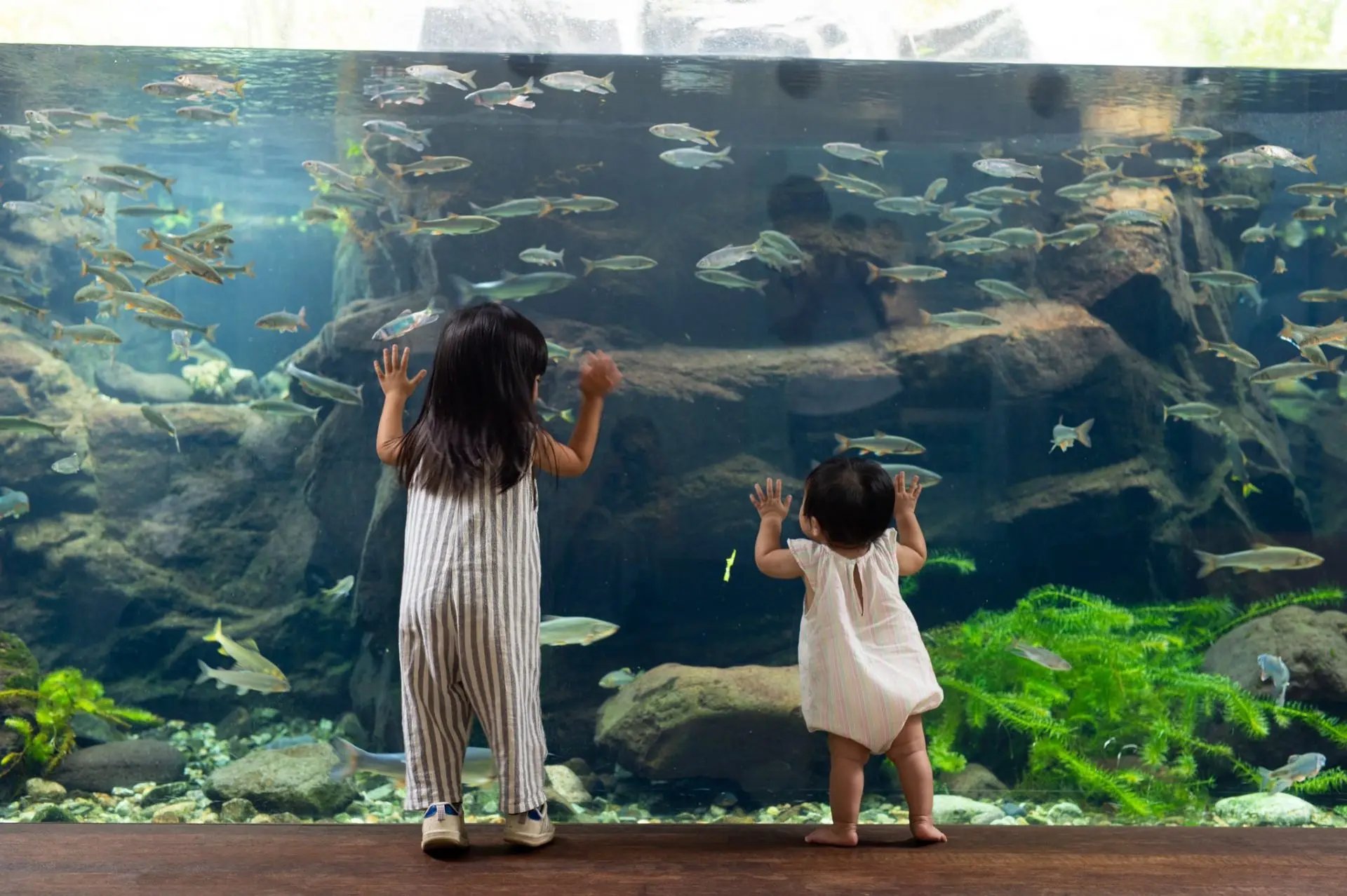 🐠 나카가와 물놀이 공원(나카가와 스이유엔) 이미지 4